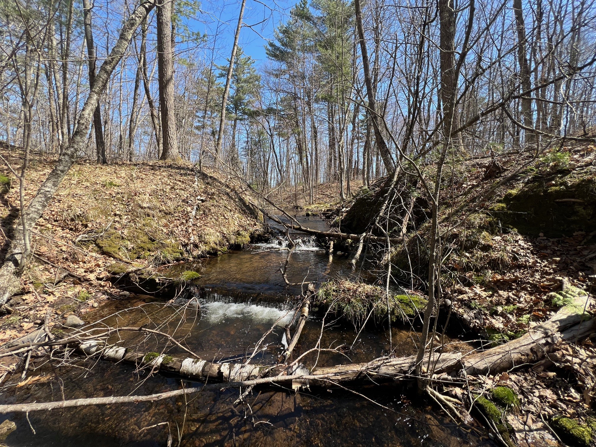 TBD Red Oak Lane Stone Lake WI 54876 - Slim Creek 1600228 image5
