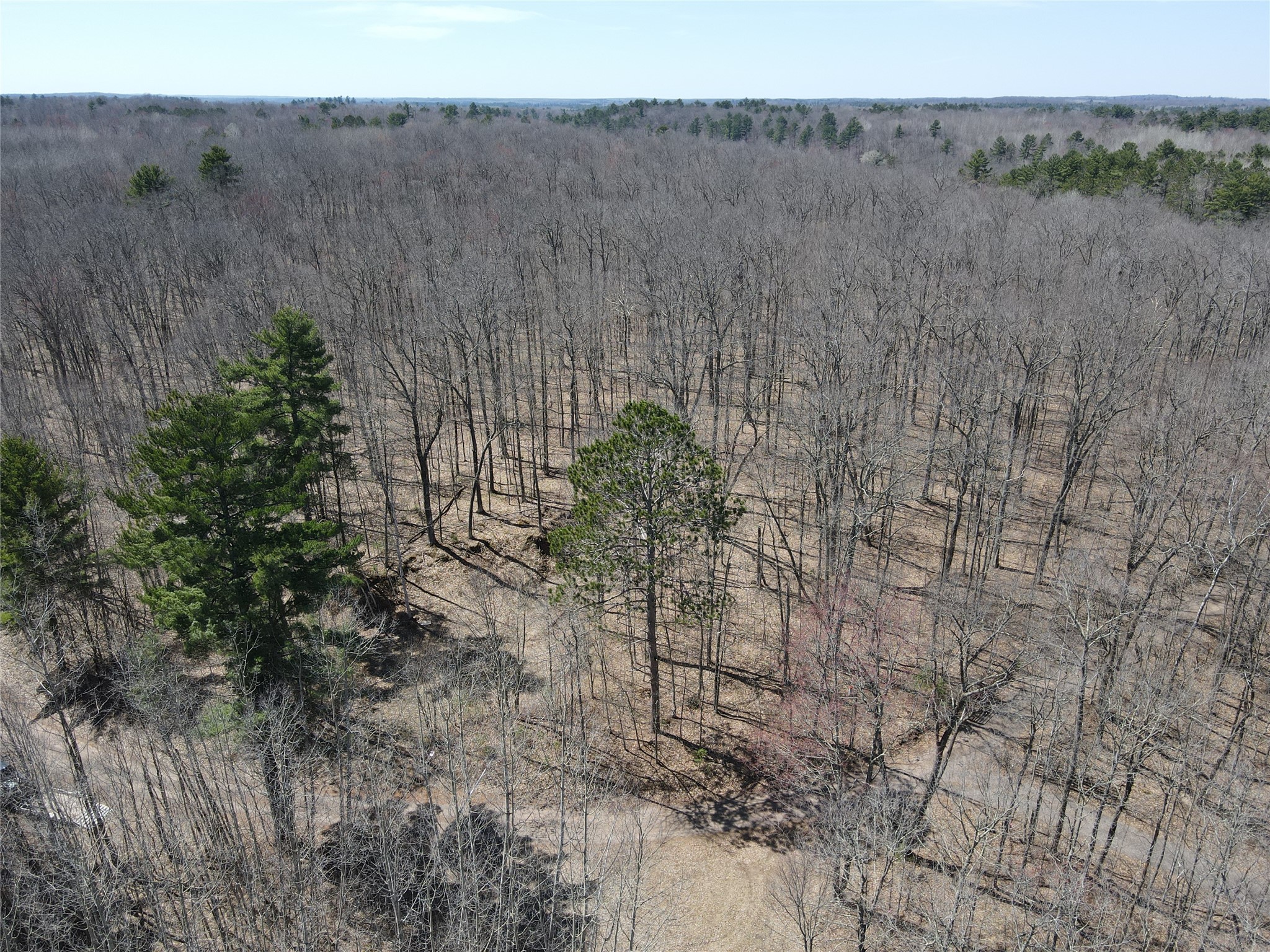 TBD Red Oak Lane Stone Lake WI 54876 - Slim Creek 1600228 image9