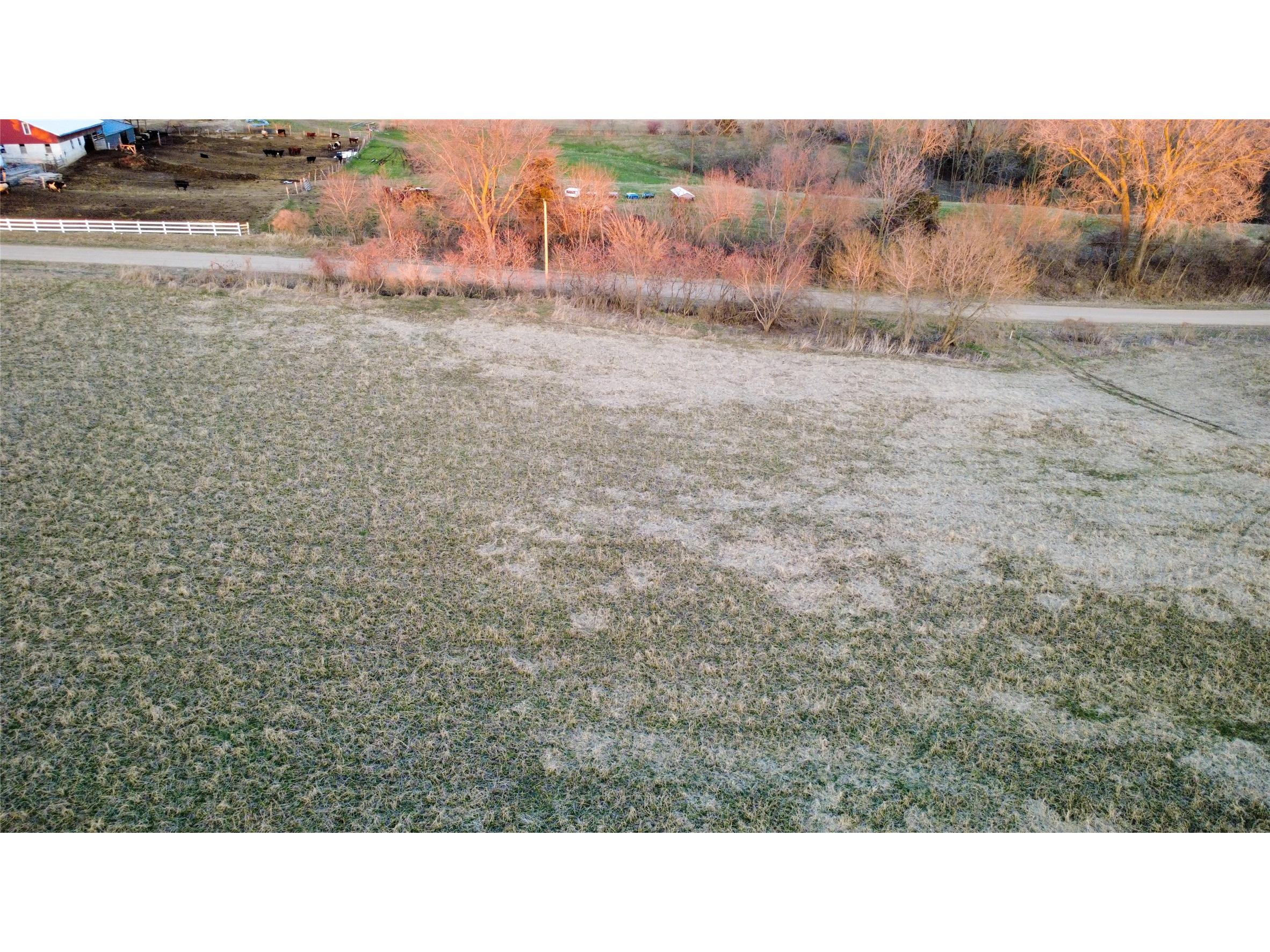 TBD Riesgraf Lane Stockholm WI 54769 1599976 image9