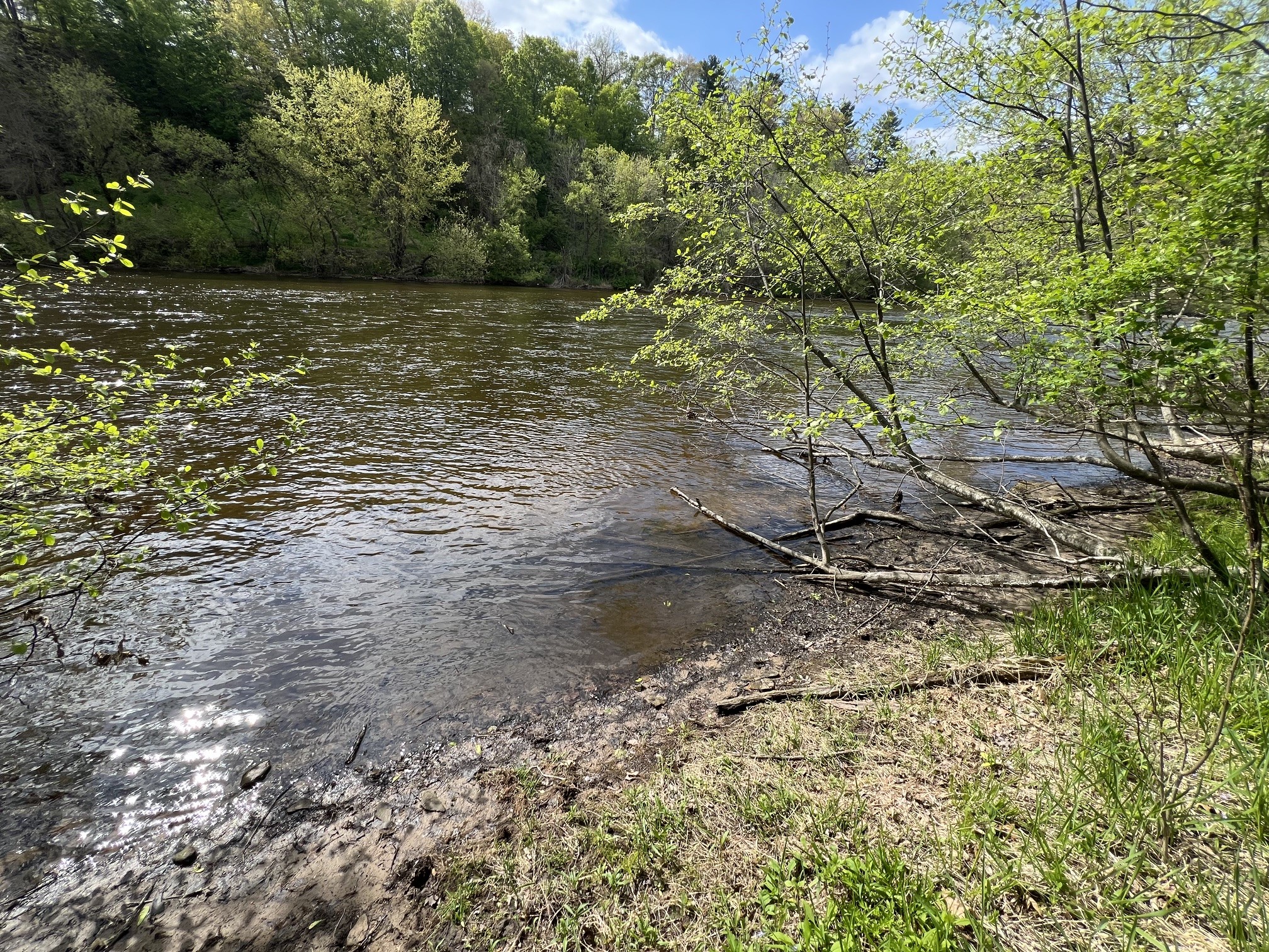 TBD River Heights Road Menomonie WI 54751 - Red Cedar River 1598183 image13