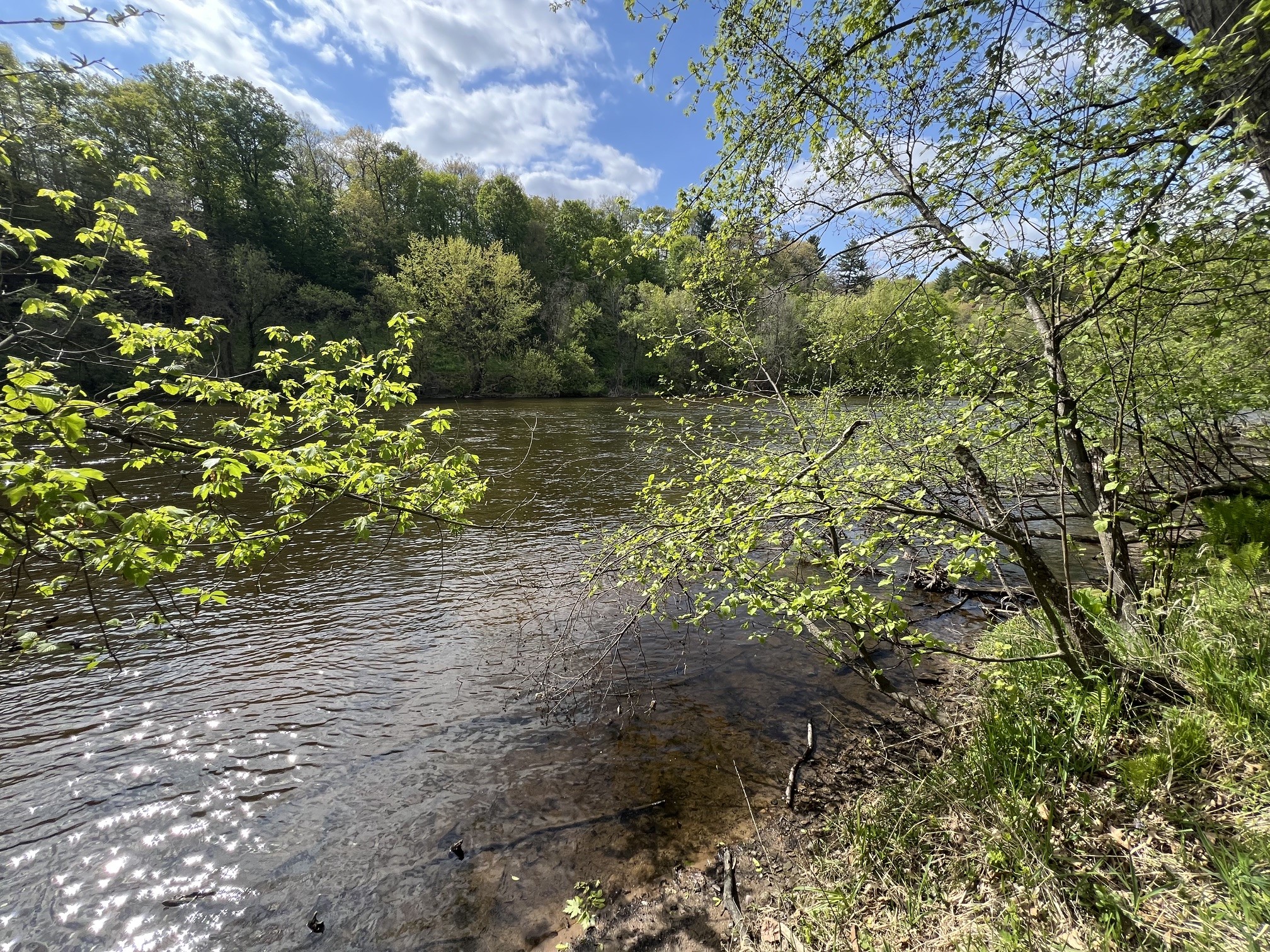TBD River Heights Road Menomonie WI 54751 - Red Cedar River 1598183 image2