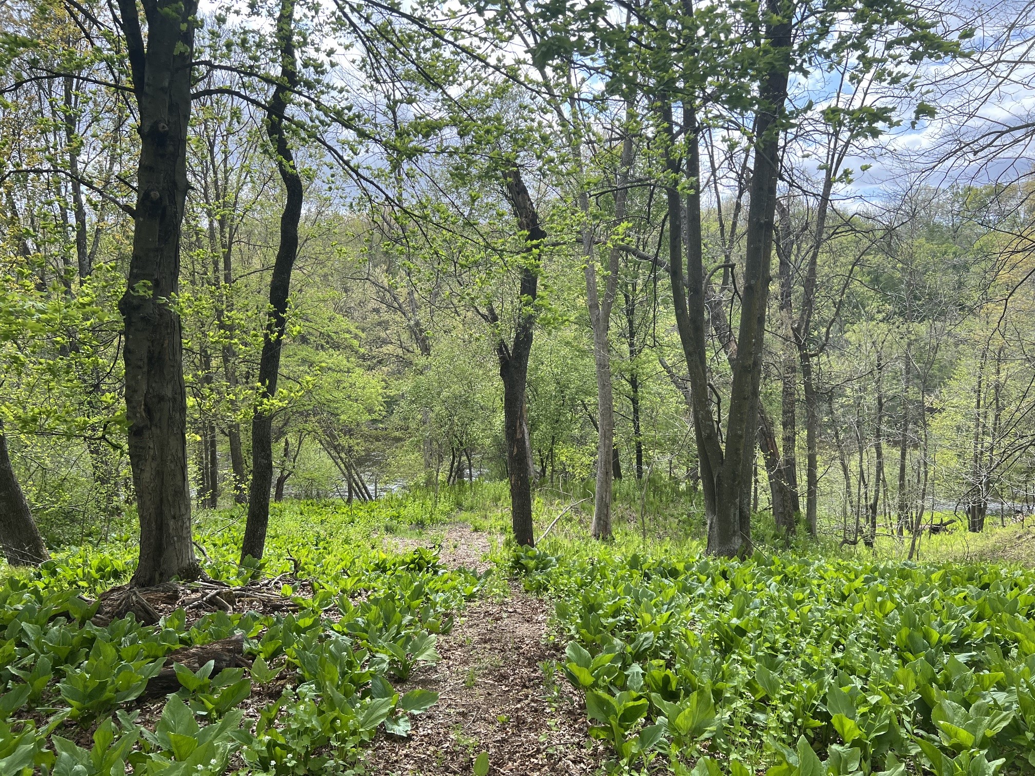 TBD River Heights Road Menomonie WI 54751 - Red Cedar River 1598183 image6