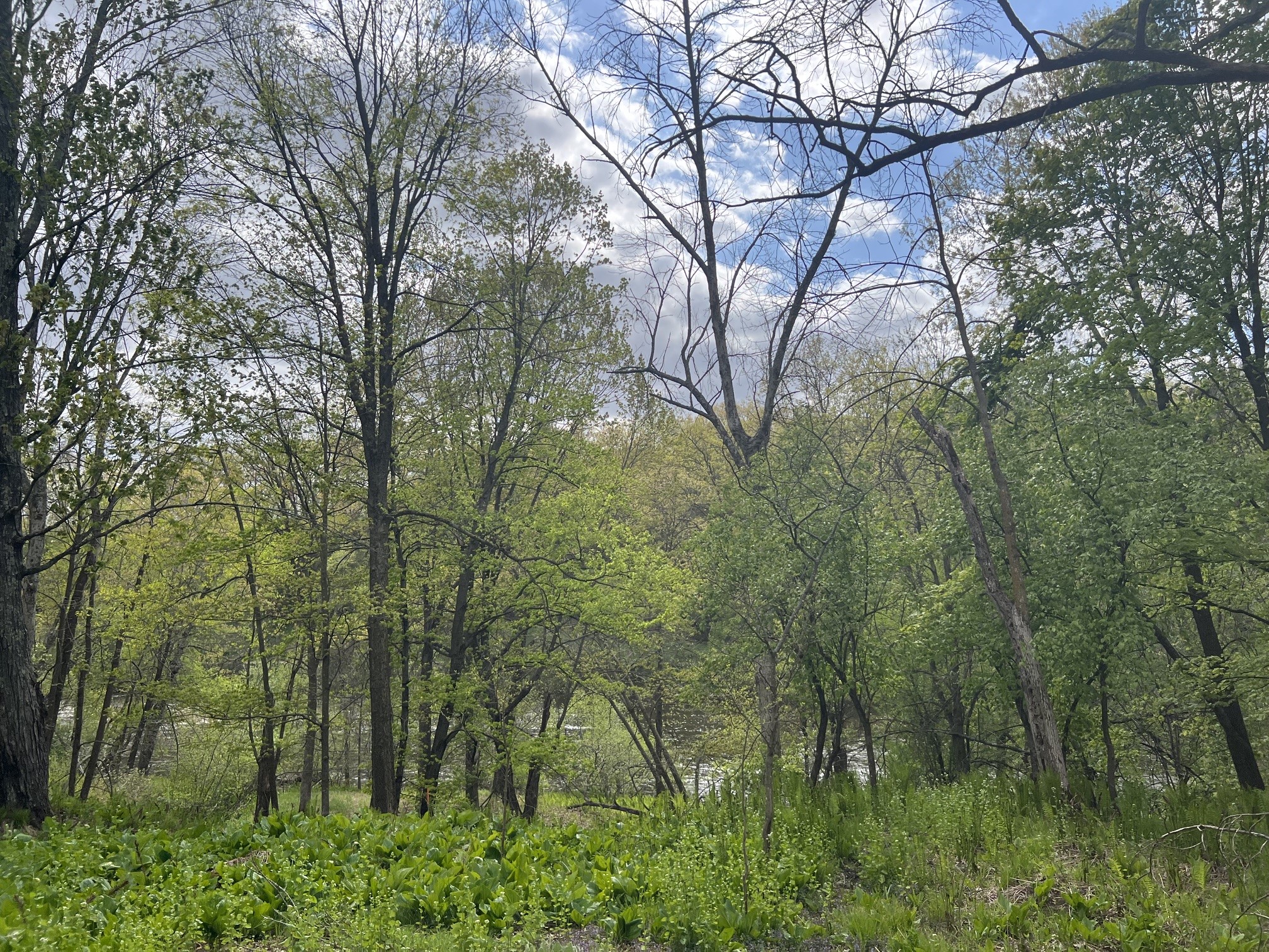 TBD River Heights Road Menomonie WI 54751 - Red Cedar River 1598183 image7