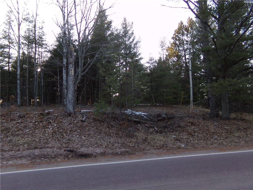 TBD S County Road F Lake Nebagamon WI 54849 1589031 image2