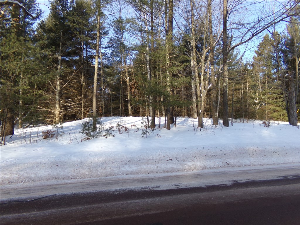 TBD S County Road F Lake Nebagamon WI 54849 1589031 image3