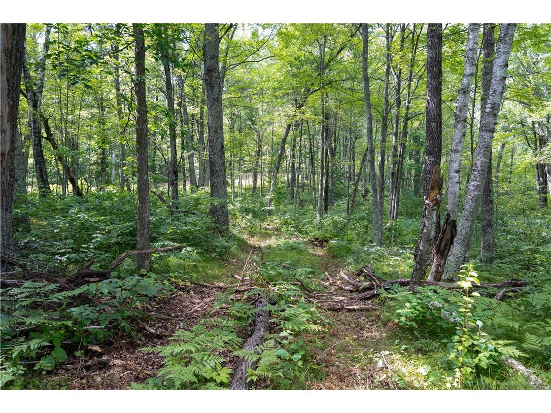 TBD S Lipsett Lake Road Spooner WI 54801 - Lipsett Lake 1591198 image15