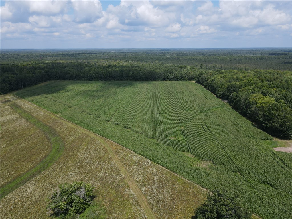 TBD Schalk Road Ogema WI 54459 1594365 image1