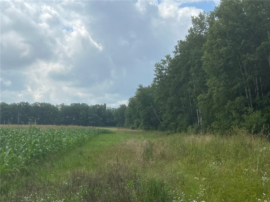 TBD Schalk Road Ogema WI 54459 1594365 image10