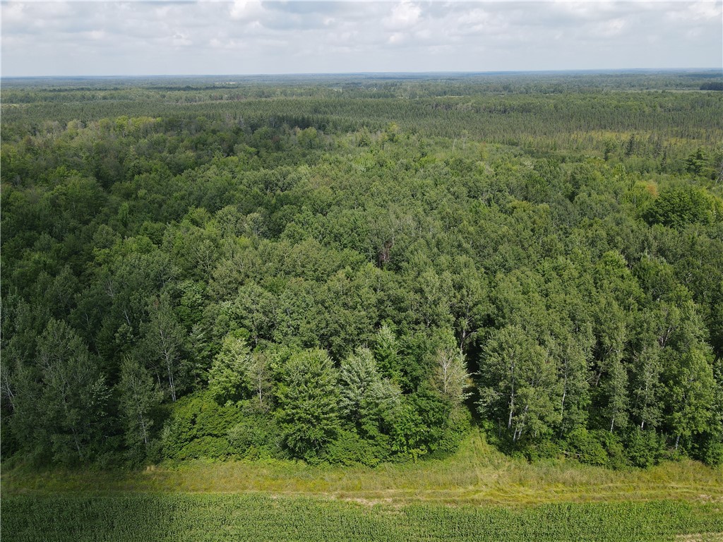 TBD Schalk Road Ogema WI 54459 1594365 image16