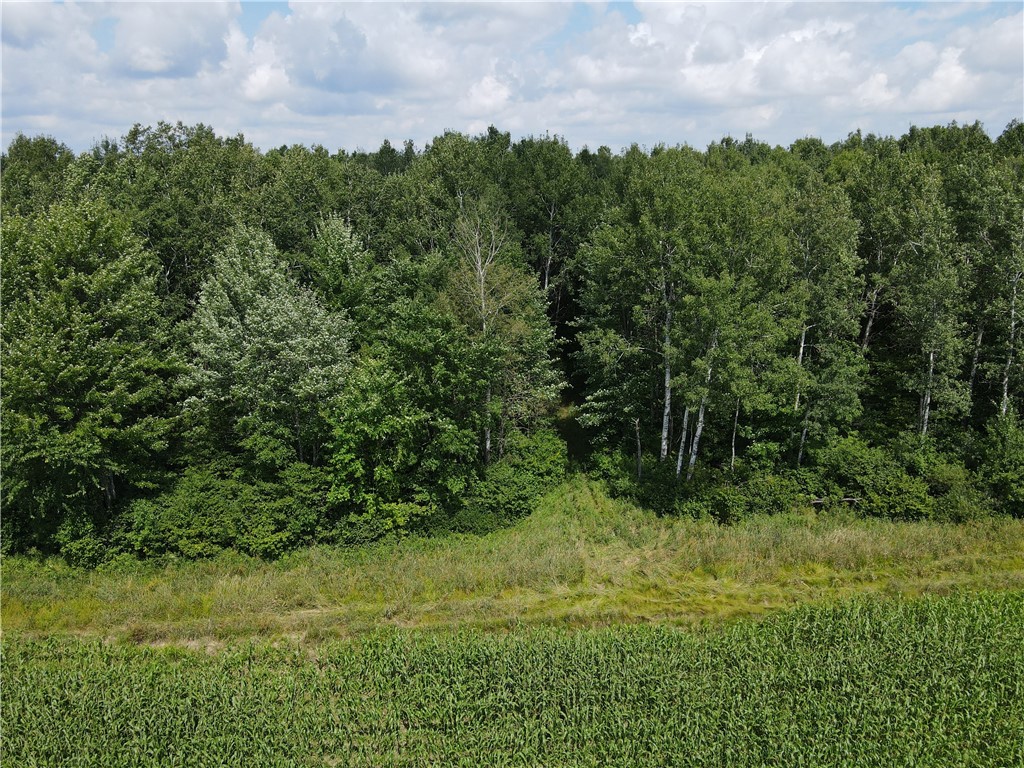TBD Schalk Road Ogema WI 54459 1594365 image17