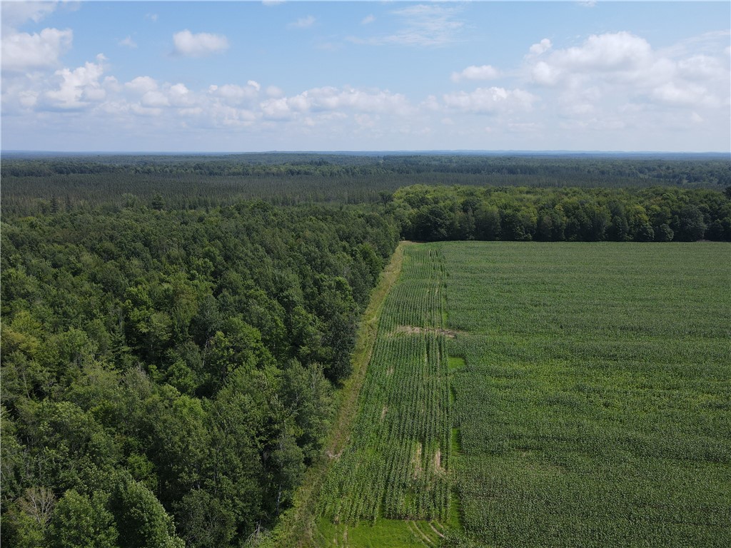 TBD Schalk Road Ogema WI 54459 1594365 image18