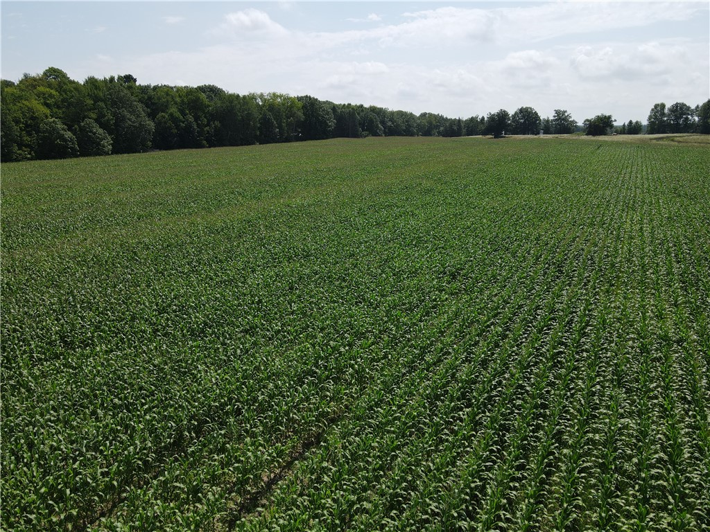 TBD Schalk Road Ogema WI 54459 1594365 image20