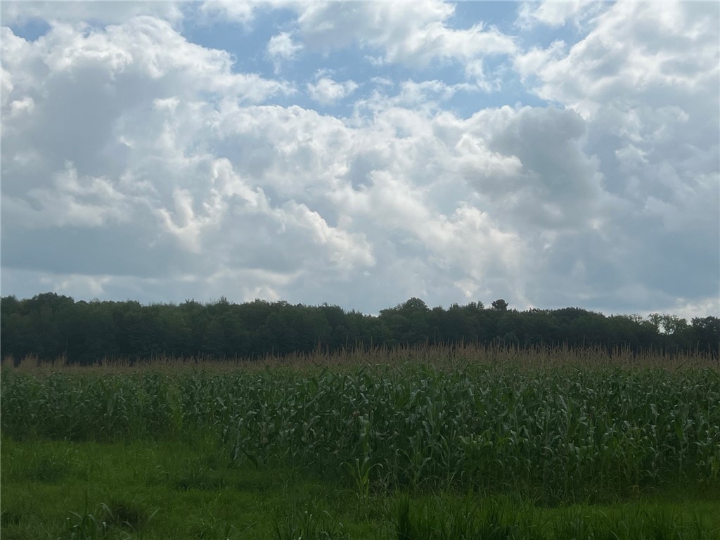 TBD Schalk Road Ogema WI 54459 1594365 image21