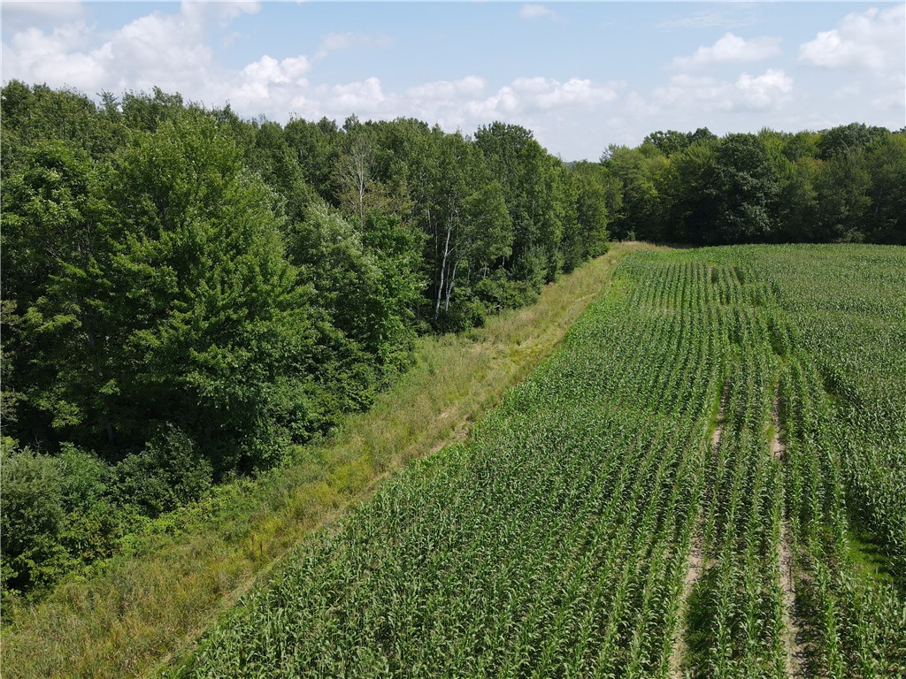 TBD Schalk Road Ogema WI 54459 1594365 image23