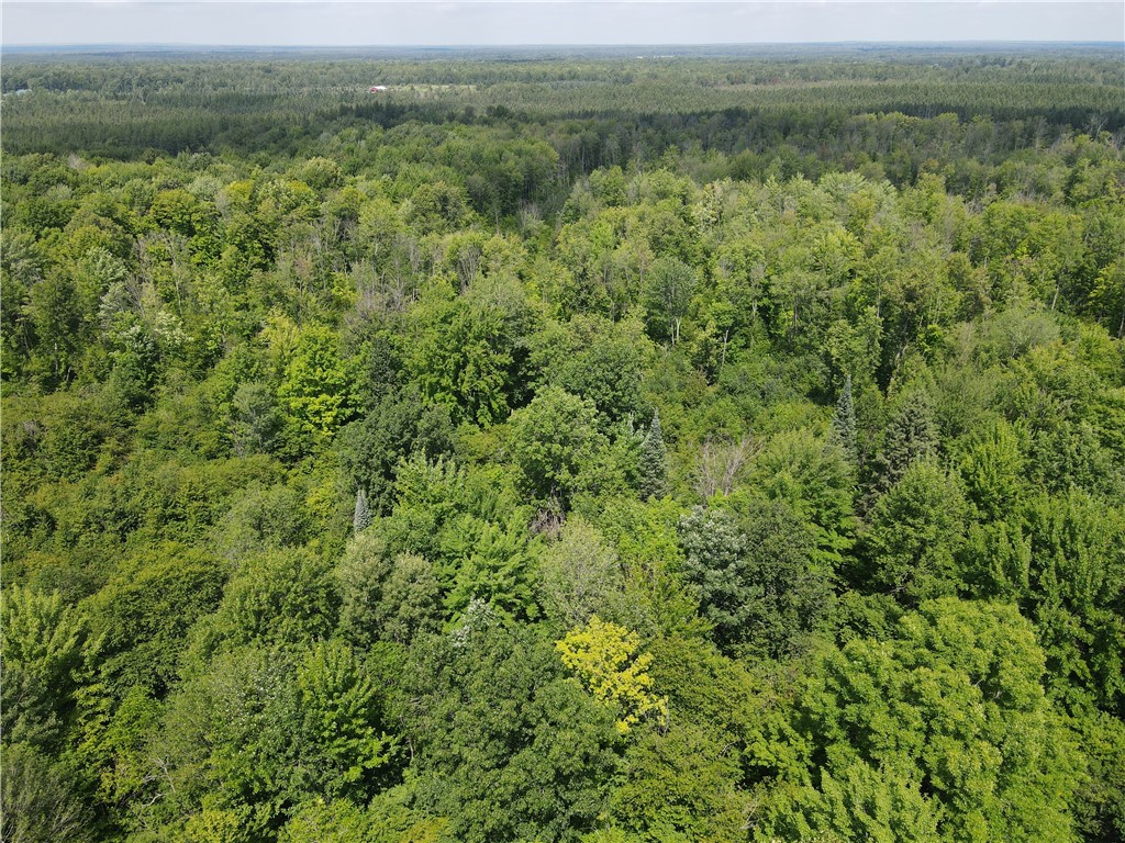 TBD Schalk Road Ogema WI 54459 1594365 image24