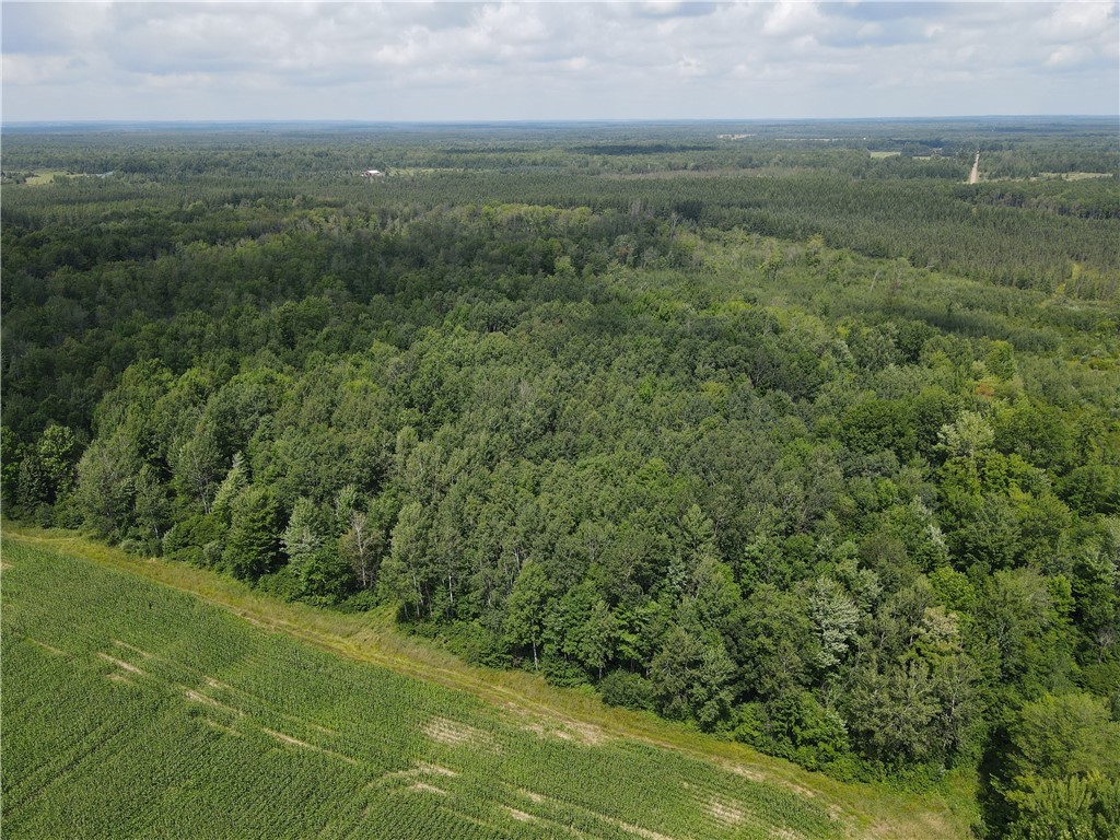 TBD Schalk Road Ogema WI 54459 1594365 image4