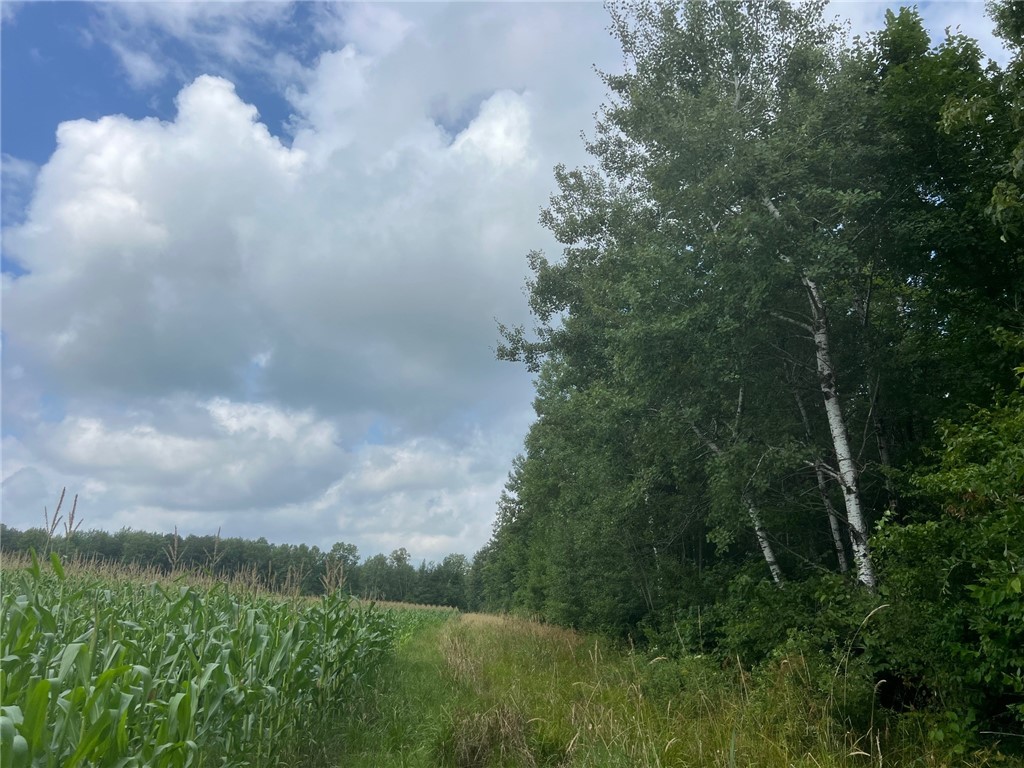 TBD Schalk Road Ogema WI 54459 1594365 image9