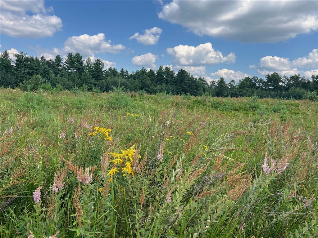 TBD State Highway 12/27 Fairchild WI 54741 - Bridge 1594552 image15