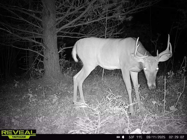 TBD State Highway 12/27 Fairchild WI 54741 - Bridge 1594552 image17