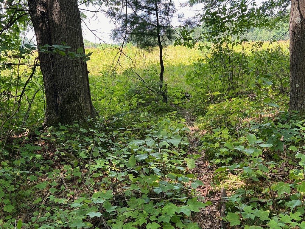 TBD State Highway 12/27 Fairchild WI 54741 - Bridge 1594552 image19