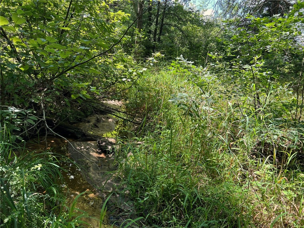 TBD State Highway 12/27 Fairchild WI 54741 - Bridge 1594552 image20