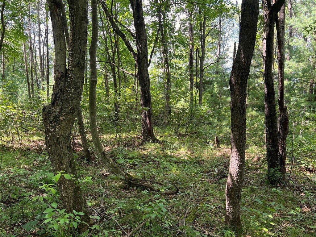 TBD State Highway 12/27 Fairchild WI 54741 - Bridge 1594552 image22