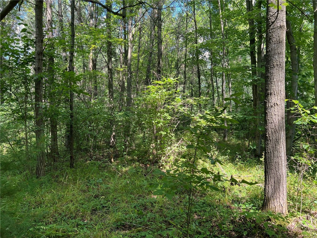 TBD State Highway 12/27 Fairchild WI 54741 - Bridge 1594552 image23