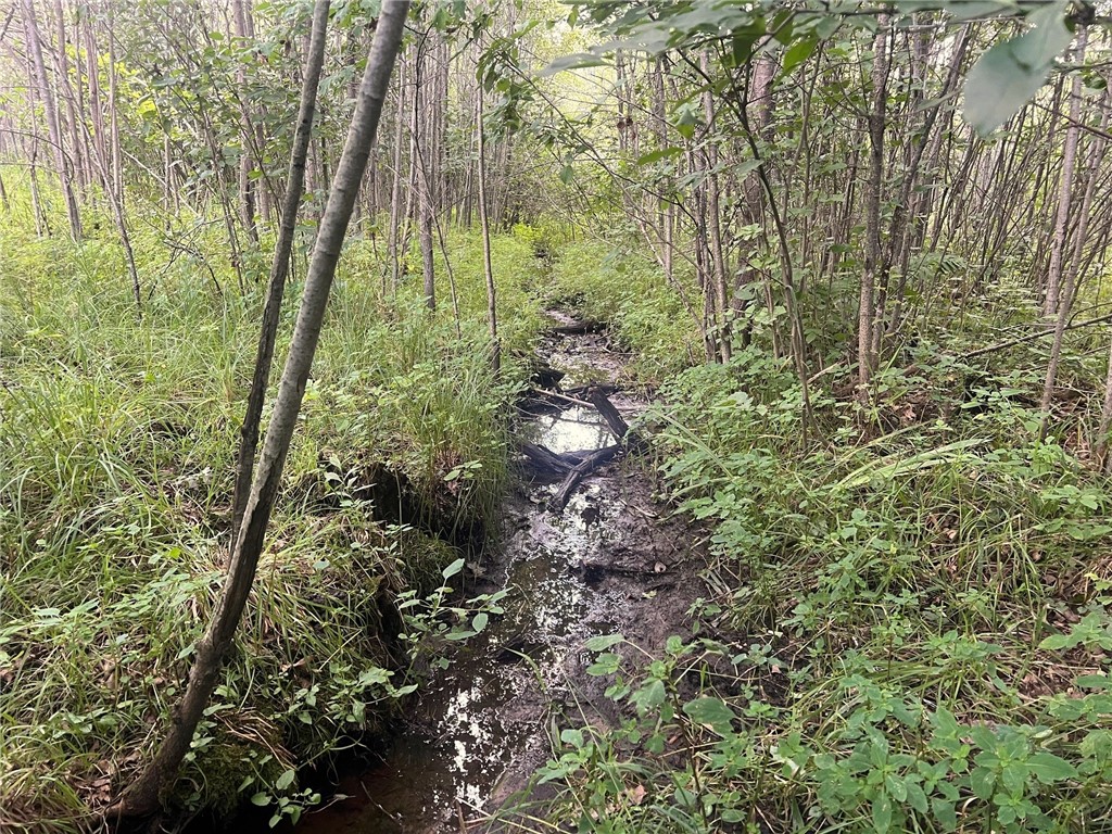 TBD State Highway 12/27 Fairchild WI 54741 - Bridge 1594552 image24