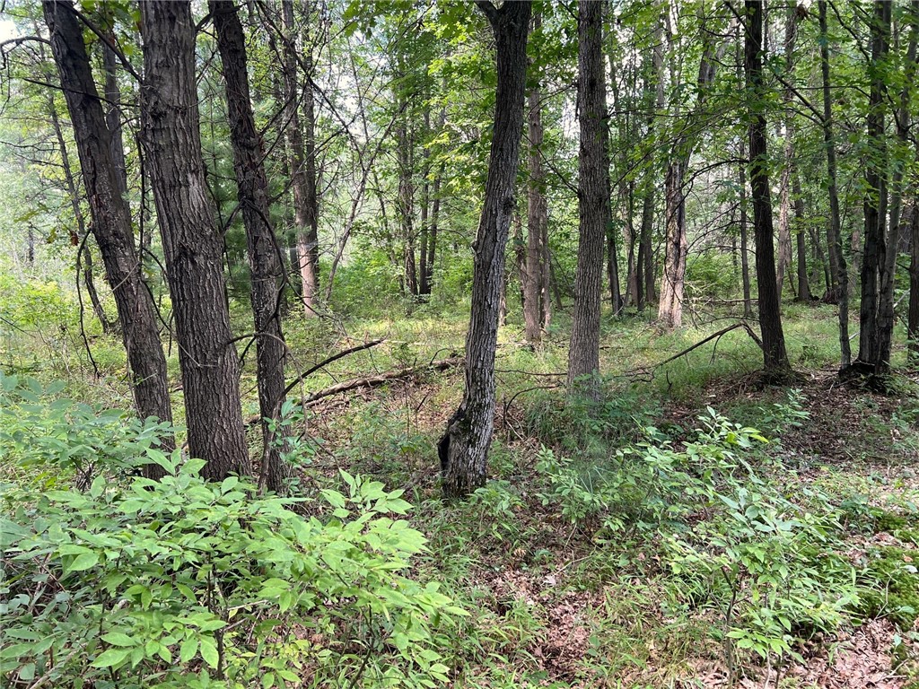 TBD State Highway 12/27 Fairchild WI 54741 - Bridge 1594552 image25