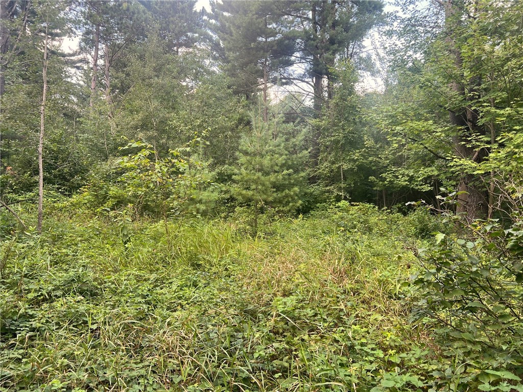 TBD State Highway 12/27 Fairchild WI 54741 - Bridge 1594552 image27