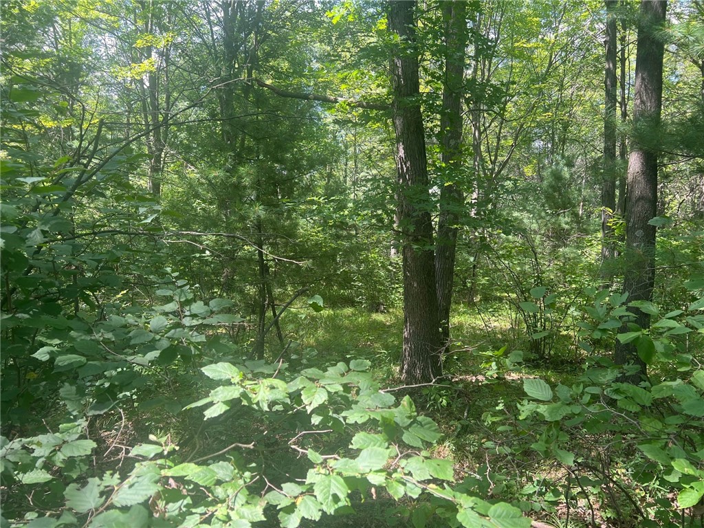 TBD State Highway 12/27 Fairchild WI 54741 - Bridge 1594552 image28