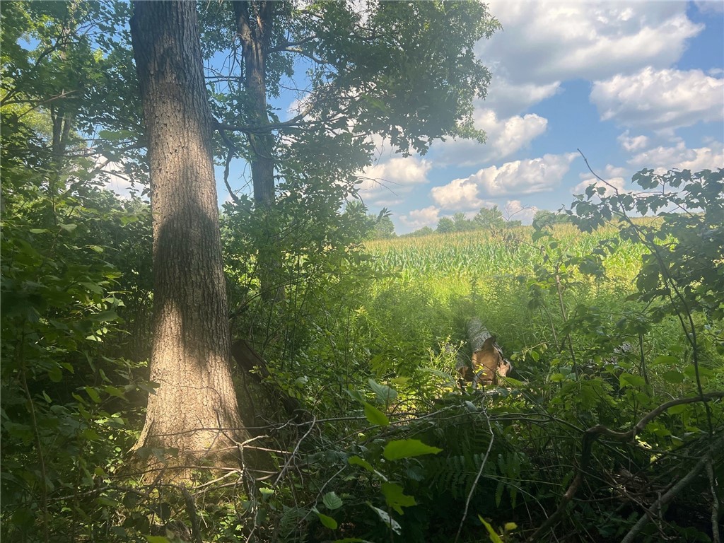 TBD State Highway 12/27 Fairchild WI 54741 - Bridge 1594552 image29