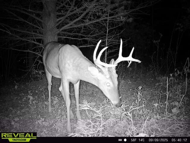 TBD State Highway 12/27 Fairchild WI 54741 - Bridge 1594552 image3