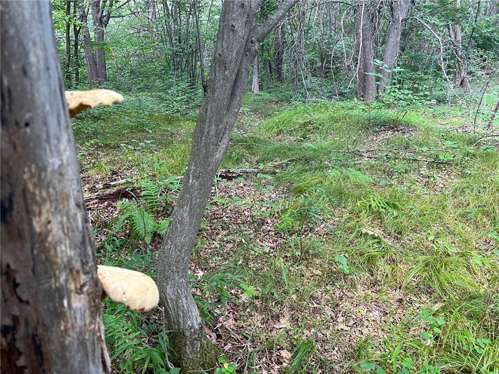 TBD State Highway 12/27 Fairchild WI 54741 - Bridge 1594552 image30