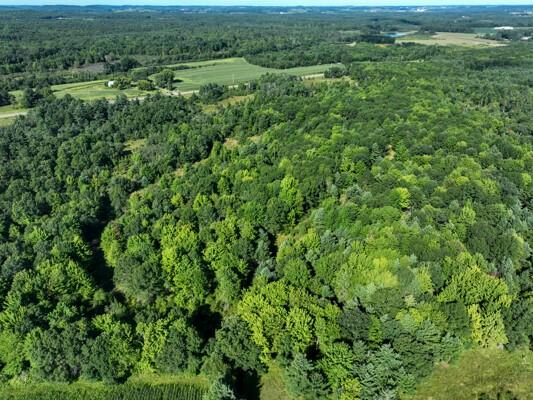 TBD State Highway 12/27 Fairchild WI 54741 - Bridge 1594552 image31