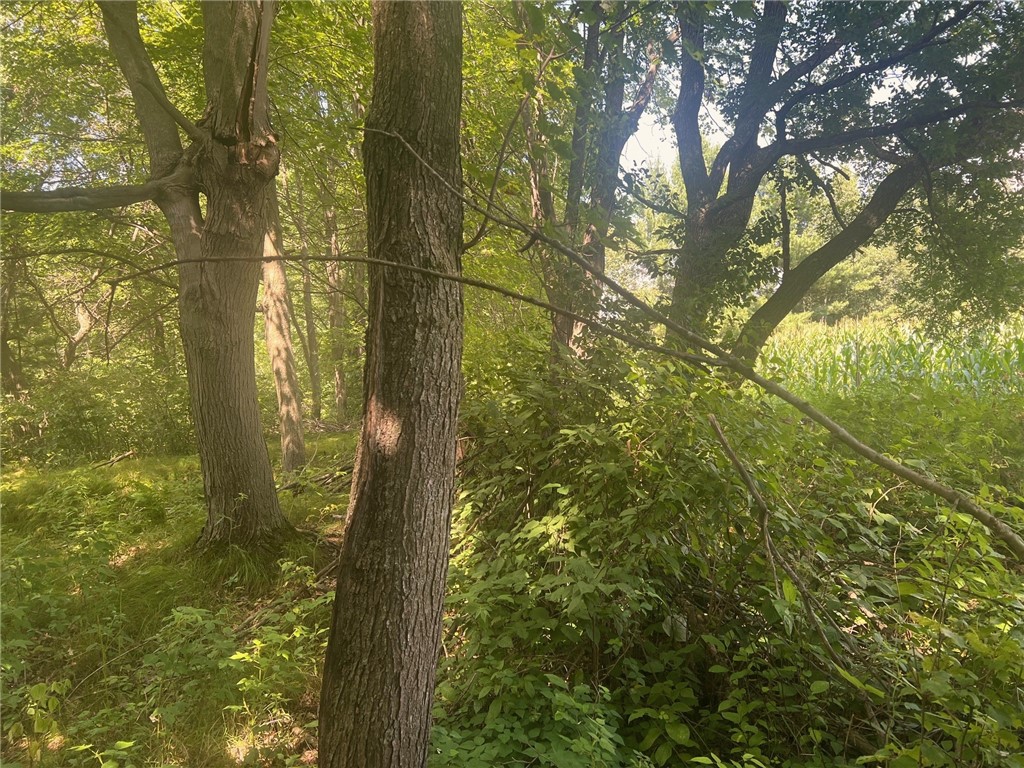 TBD State Highway 12/27 Fairchild WI 54741 - Bridge 1594552 image32