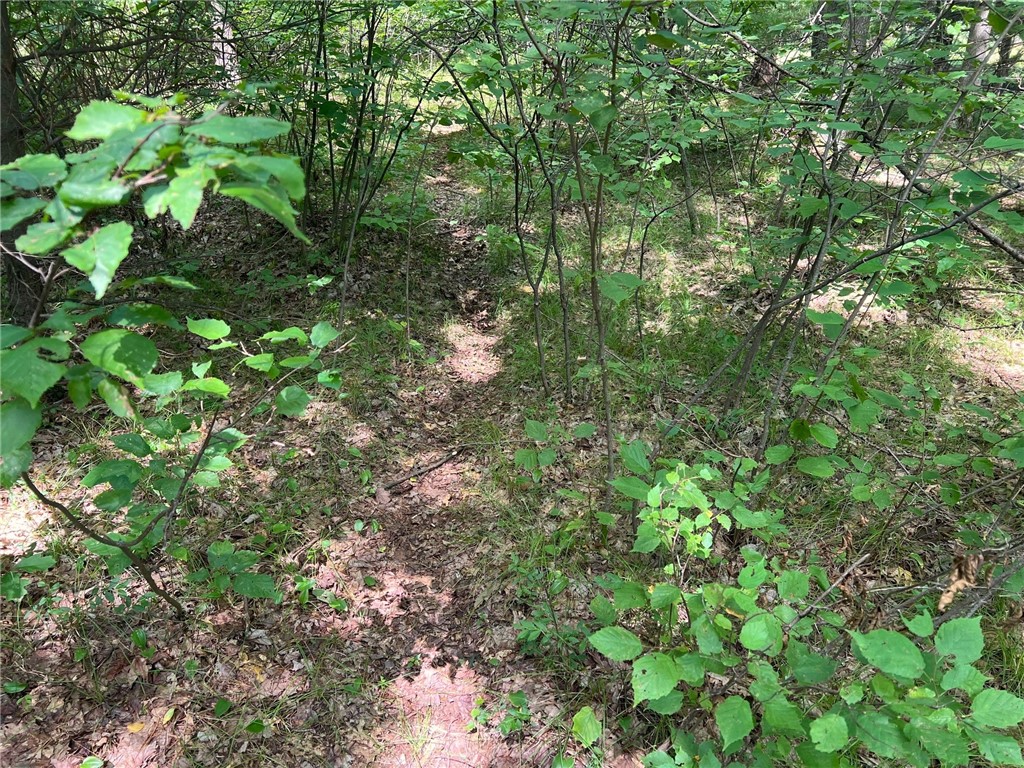 TBD State Highway 12/27 Fairchild WI 54741 - Bridge 1594552 image36