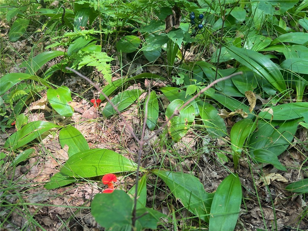 TBD State Highway 12/27 Fairchild WI 54741 - Bridge 1594552 image38