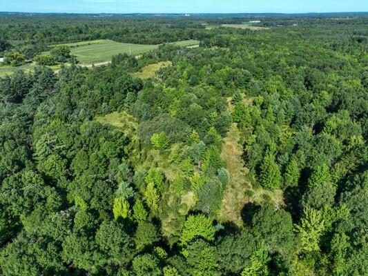 TBD State Highway 12/27 Fairchild WI 54741 - Bridge 1594552 image39