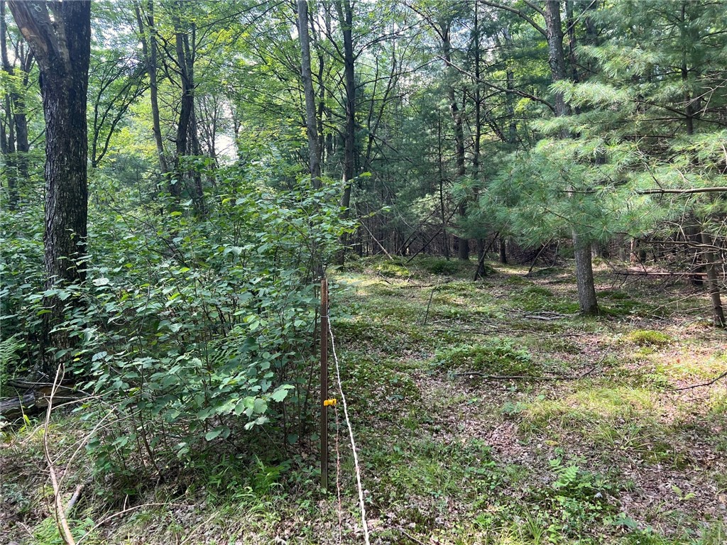 TBD State Highway 12/27 Fairchild WI 54741 - Bridge 1594552 image40