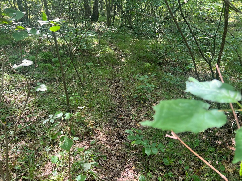 TBD State Highway 12/27 Fairchild WI 54741 - Bridge 1594552 image42