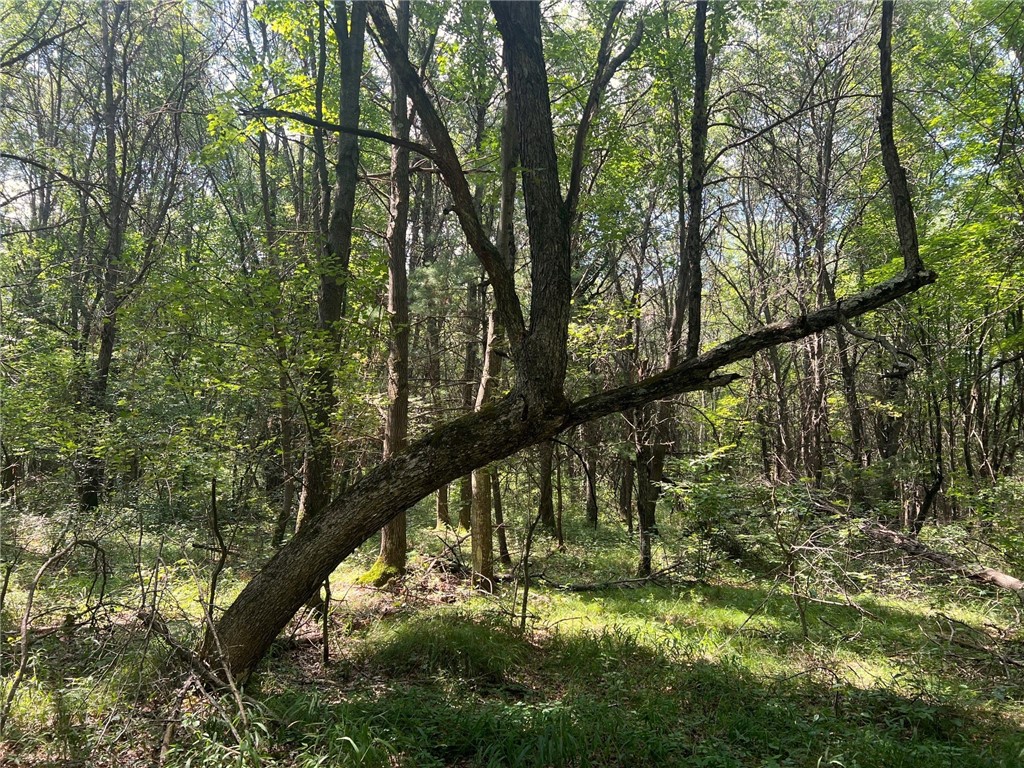 TBD State Highway 12/27 Fairchild WI 54741 - Bridge 1594552 image43