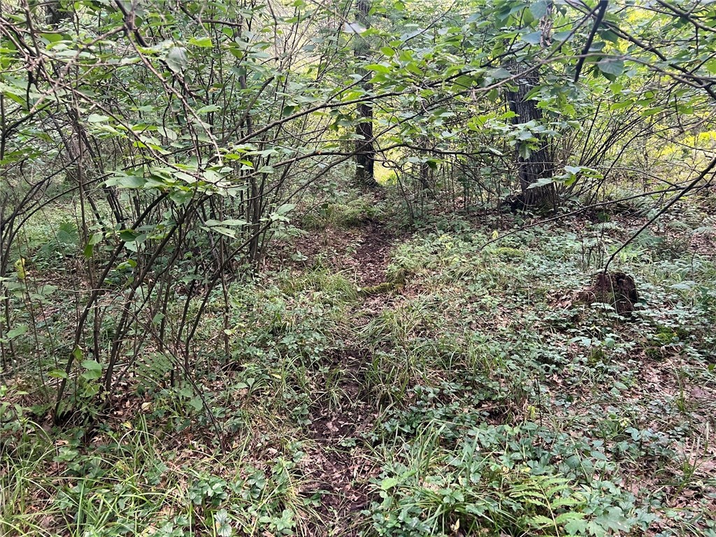 TBD State Highway 12/27 Fairchild WI 54741 - Bridge 1594552 image47