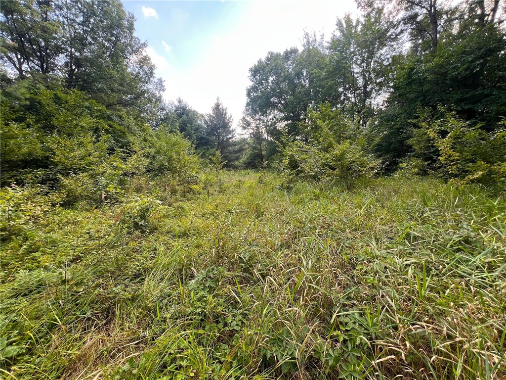 TBD State Highway 12/27 Fairchild WI 54741 - Bridge 1594552 image51