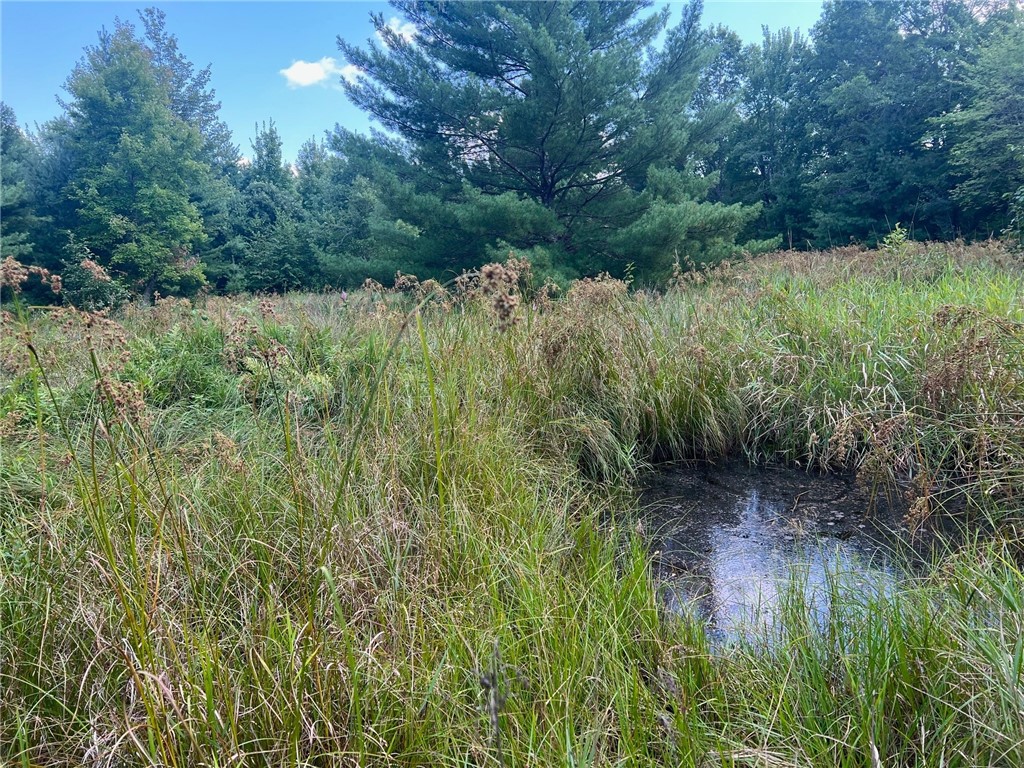 TBD State Highway 12/27 Fairchild WI 54741 - Bridge 1594552 image52