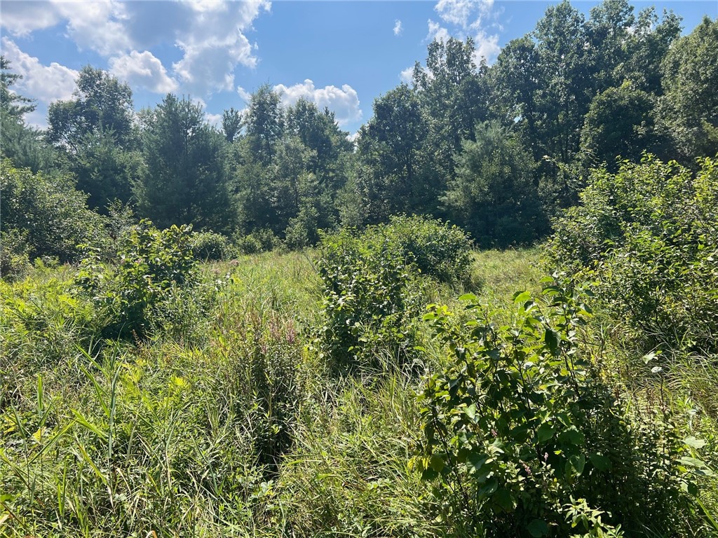 TBD State Highway 12/27 Fairchild WI 54741 - Bridge 1594552 image53