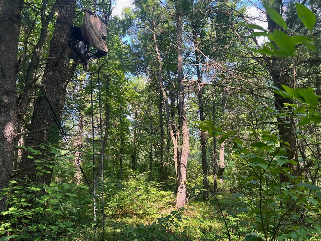 TBD State Highway 12/27 Fairchild WI 54741 - Bridge 1594552 image54