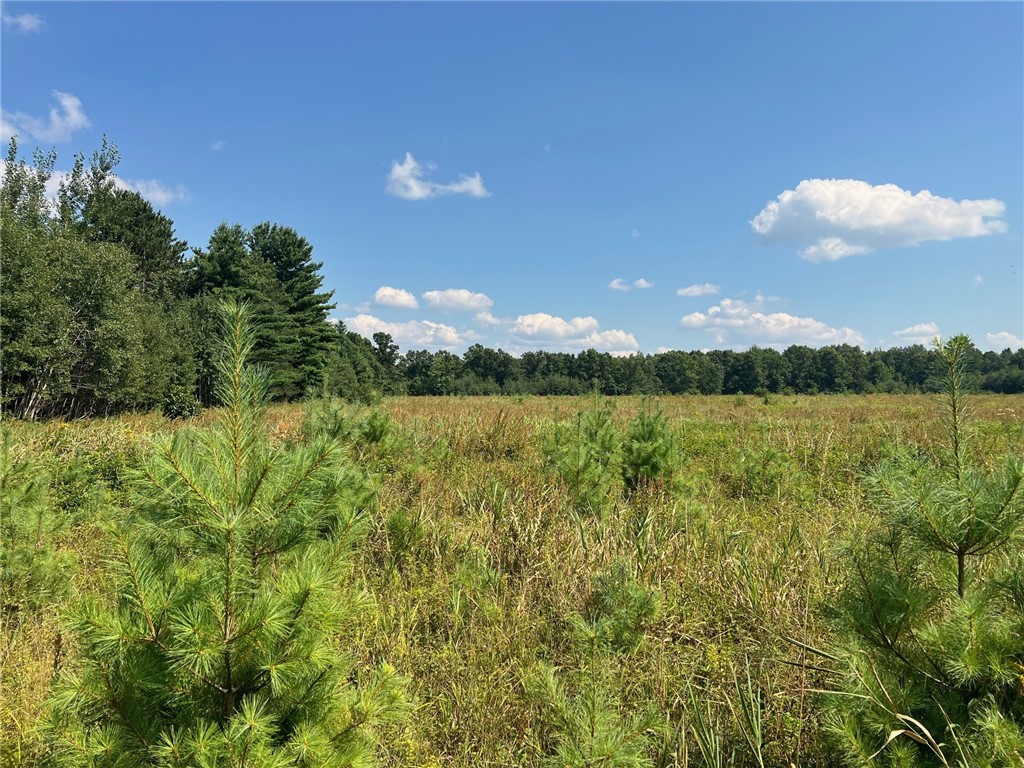 TBD State Highway 12/27 Fairchild WI 54741 - Bridge 1594552 image56