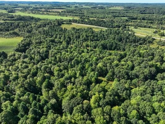 TBD State Highway 12/27 Fairchild WI 54741 - Bridge 1594552 image6