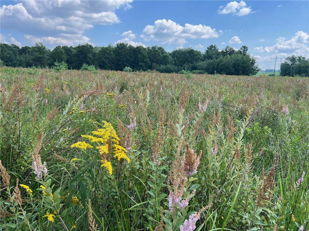 TBD State Highway 12/27 Fairchild WI 54741 - Bridge 1594552 image9